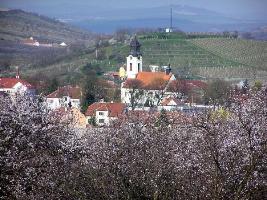 Kostel Nanebevzetí Panny Marie, Velké Pavlovice