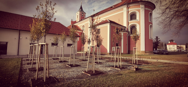 Okolí kostela po výsadbě stromů