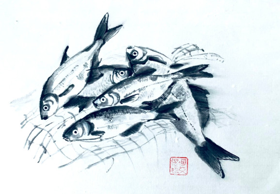 tušová kresba 1 / Autor fotografie: Helga Hrabincová