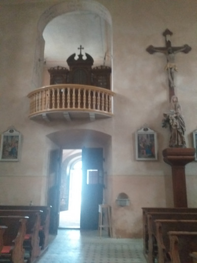 Sv. Petr a Pavel Svojšín / interiér od oltáře ke vchodu