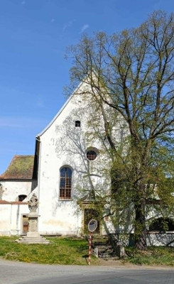 Klášterní kostel sv. Víta, Václava a Vojtěcha / Autor fotografie: Marek Badida