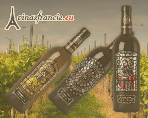 Ochutnávka vín / Autor fotografie: Eliška Sobotková