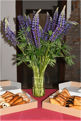 Trmice, kostel Pána Ježíše