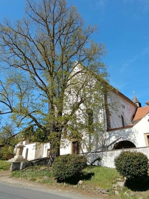 Klášterní kostel sv. Víta, Václava a Vojtěcha / Autor fotografie: Marek Badida