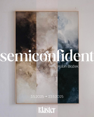 Semiconfident / Autor fotografie: Robin Blažek 
