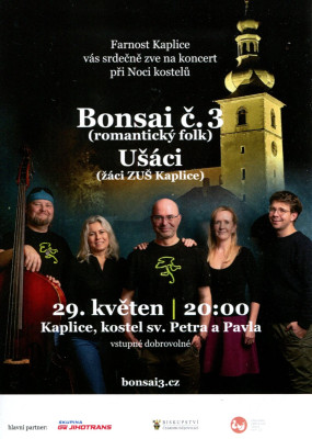 Bonsai č.3