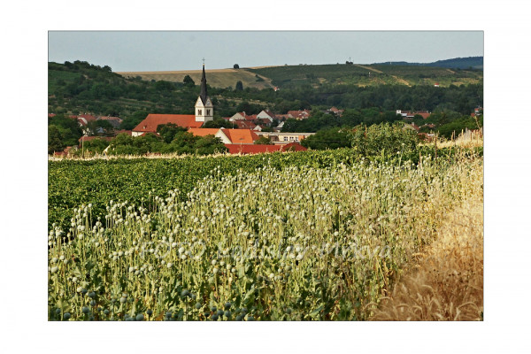 Lipov, kostel Všech svatých / Autor fotografie: Ladislav Mrkva