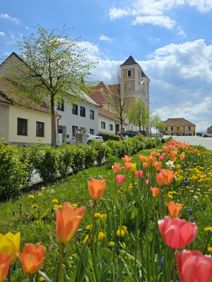 Pozořice, kostel Nanebevzetí Panny Marie / Autor fotografie: Dagmar Purová