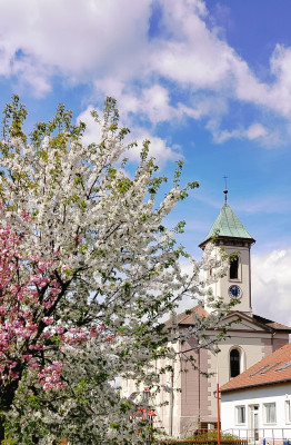 Kostel sv. Václava  / Autor fotografie: Jiřina Vašková 