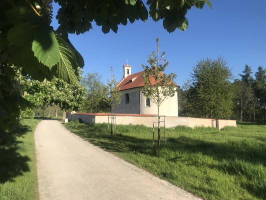 kaple sv. Václava / pohled na kapli