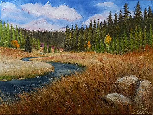 Roklanský potok na podzim  / Autor fotografie: Daniel Becher