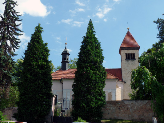 SAM_0408._reporyje-kopie.jpg