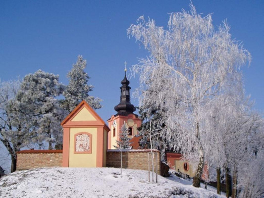 Křižanovice u Bučovic, kostel Nanebevzetí Panny Marie