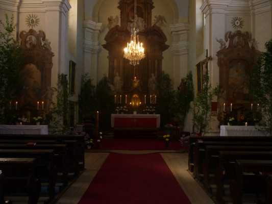 Uhlířské Janovice, kostel sv. Aloise