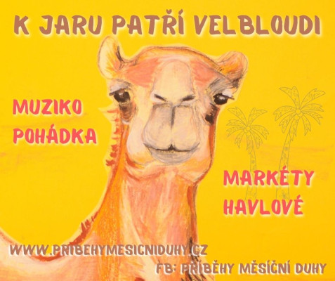 K jaru patří velbloudi - pohádka / Autor fotografie: Marketa Havlová